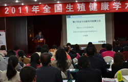 生殖健康学术研讨会谷翊群副所长发言 生殖健康学术研讨会谷翊群副所长发言